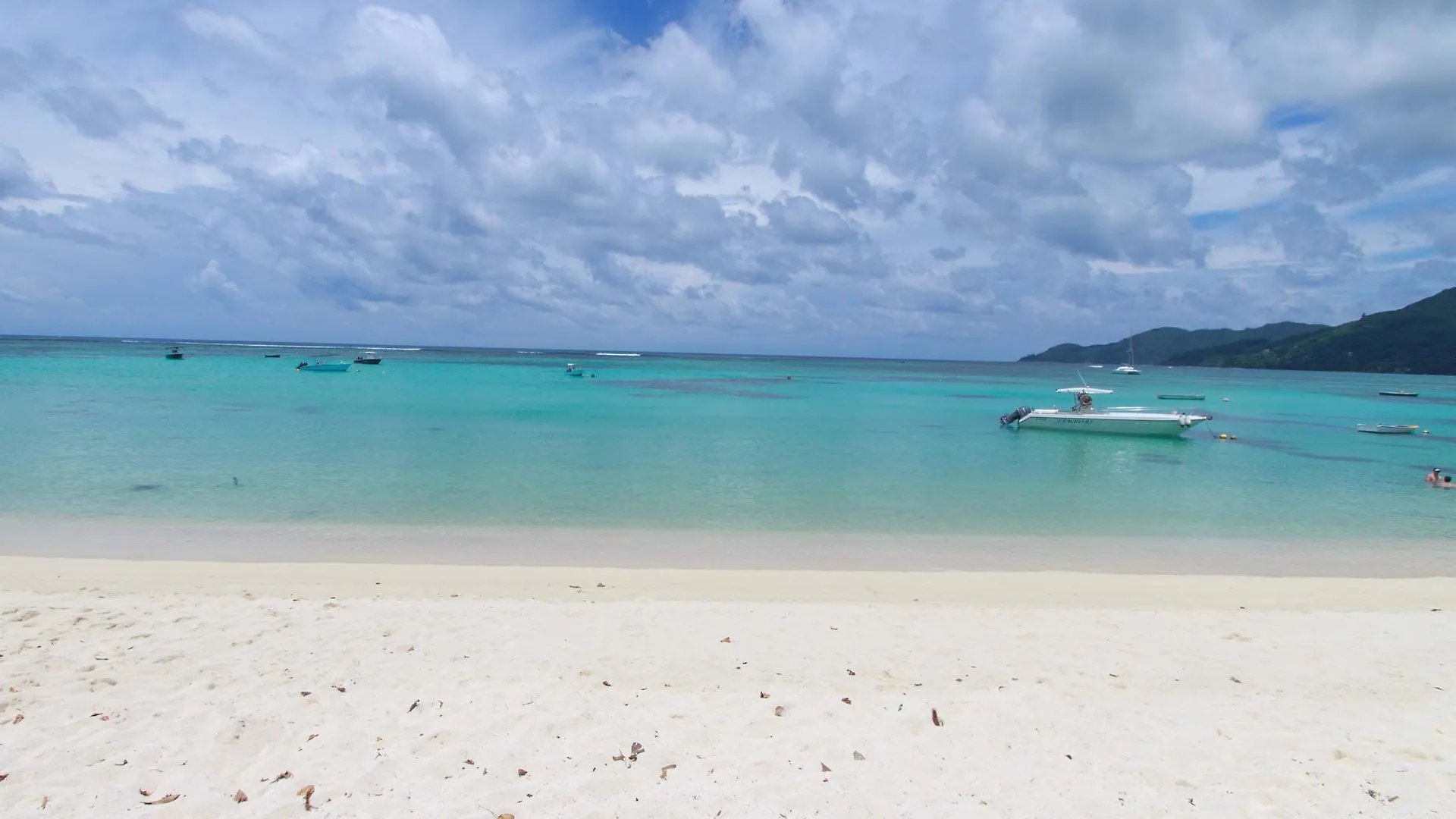 Coco Blanche Apartment Anse Royale